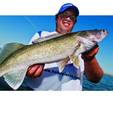 walleye