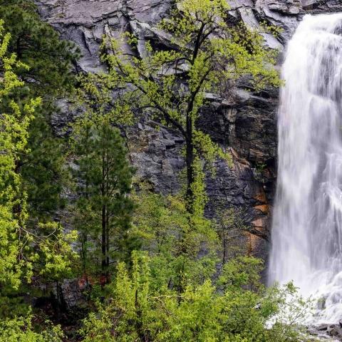Bridal Veil Falls