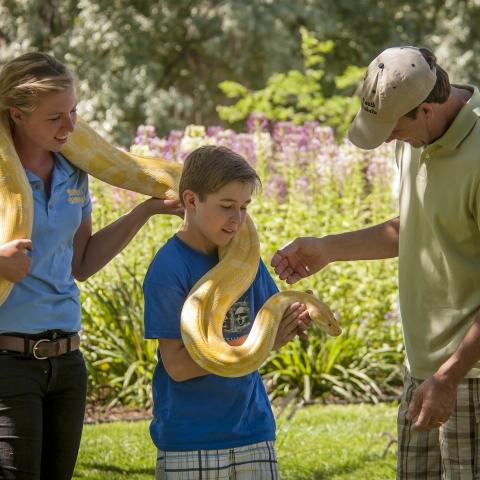 Reptile Gardens