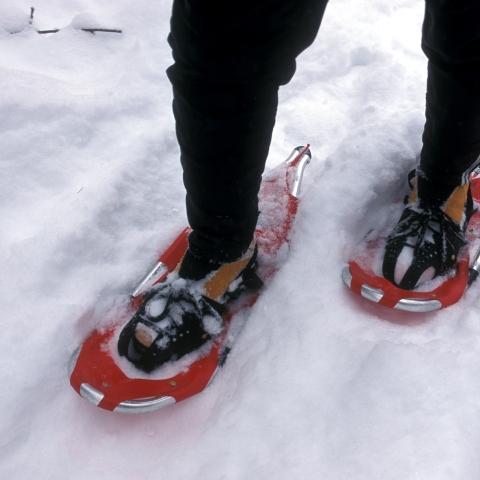 Snowshoeing