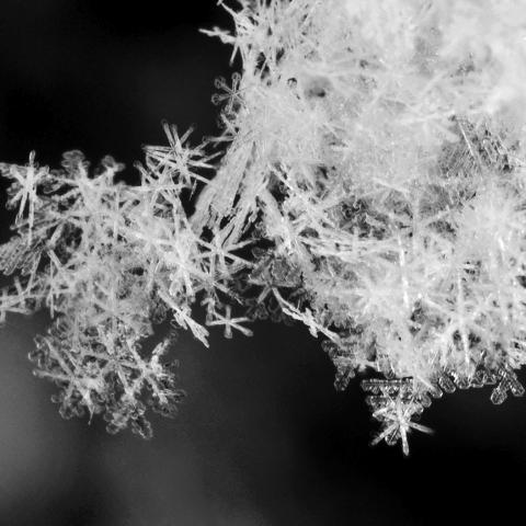 Snowflakes