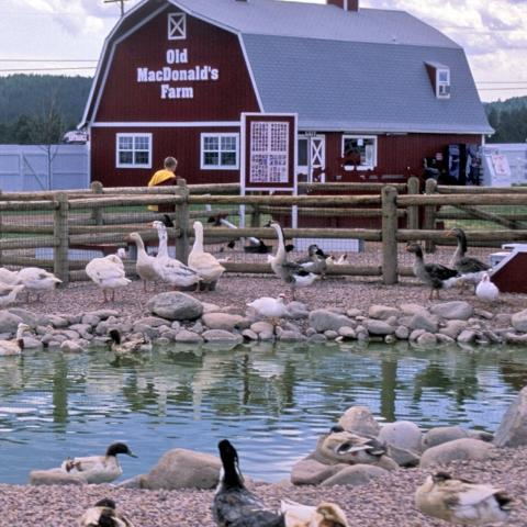 Old MacDonald's Farm