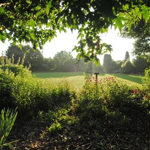 Mcrory Gardens