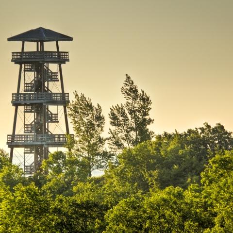 Nicollet Tower
