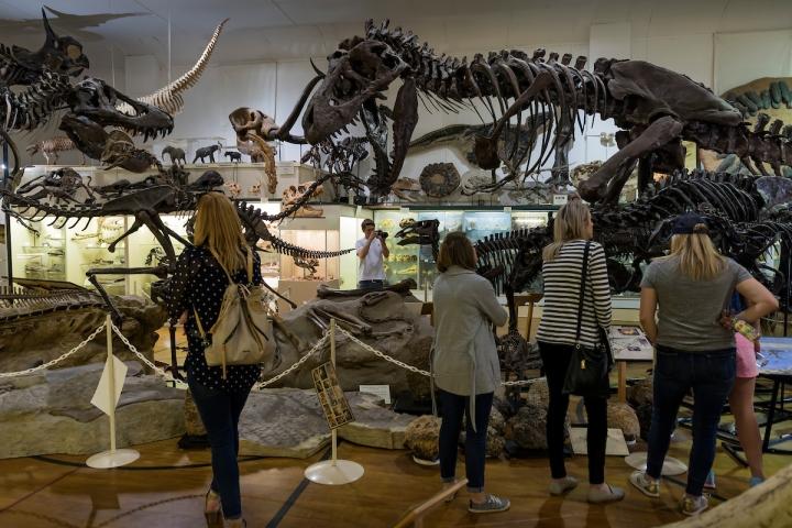 Museum of Geology