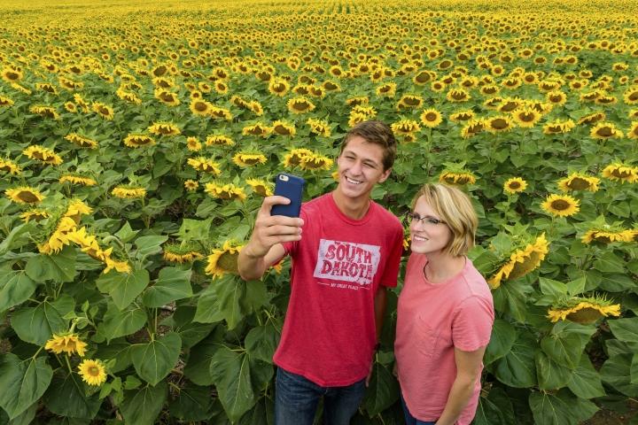 People with Sunflowers