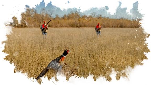 hunting