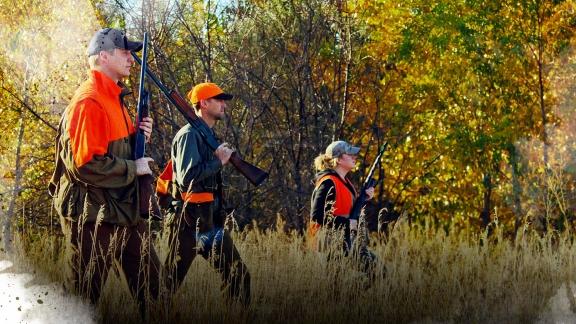 Three pheasant hunters walking through a field near some trees