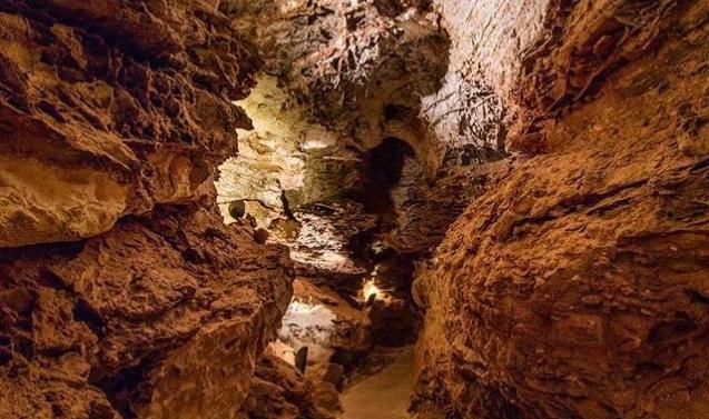 [FULL GUIDE] 50 Things to Do at Wind Cave National Park for Adventure Seekers