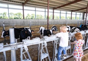 Dairy Fest