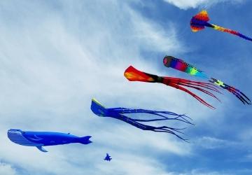 Brookings Kite Festival