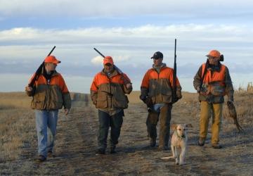 Pheasant Hunting Season