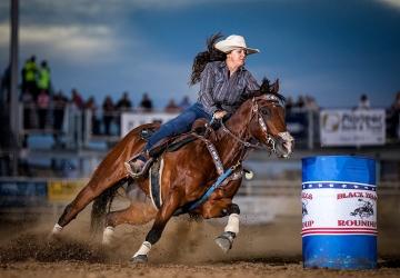 Annual Black Hills Roundup