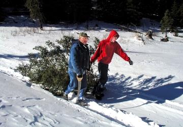 Black Hills Christmas Tree Permit Season