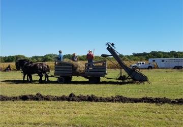 Homesteader Day Celebration