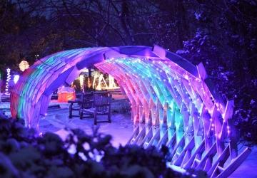 Garden Glow