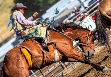 Boss Cowman Rodeo & Celebration
