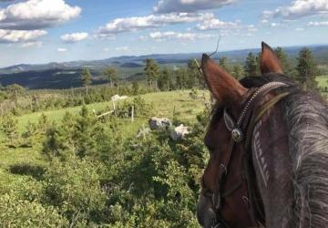 Bridle Ridge Horse & RV Camp, Custer