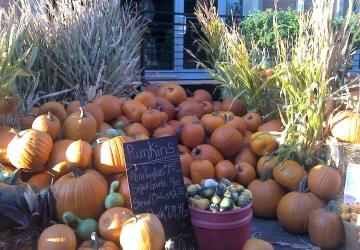 Spearfish Corn Maze & Pumpkin Patch, Spearfish