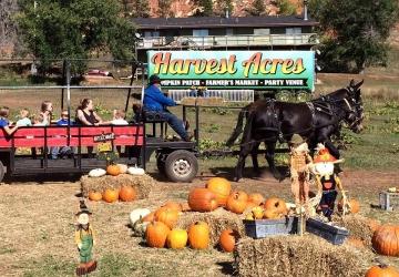 Lil Harvester's Pumpkin Patch, Rapid City