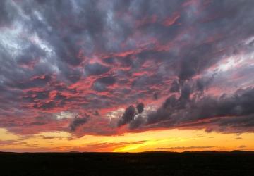 McGuigan Farm Experience, Spearfish