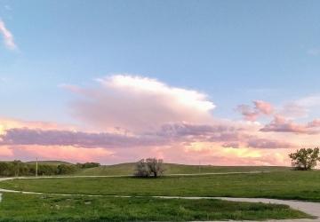 Dennis Ranch, Red Owl
