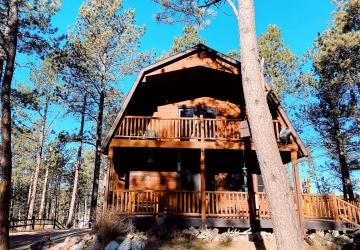 The Skogen House, Custer