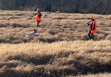 Hancock Pheasant Hunting, Ree Heights