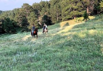 Woodland Ranch & Resort, Allen