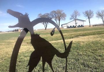Dinosaurs of the Hell Creek Museum, Belle Fourche