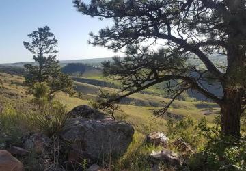 Hanson-Larsen Memorial Park, Rapid City