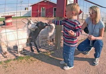 Old MacDonald&#039;s Farm, Rapid City