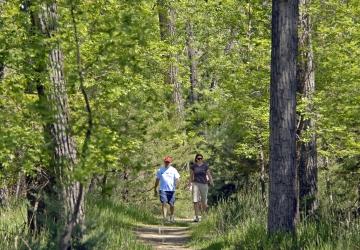 LaFramboise Island Nature Area