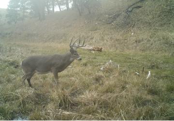 Hunting Camp Photos