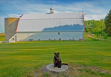 Wilde Prairie Winery, Brandon