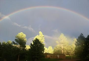 Great Cabins and Awesome Views!