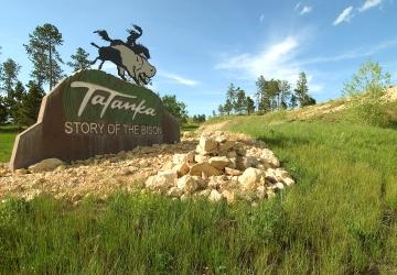 Tatanka: Story of the Bison