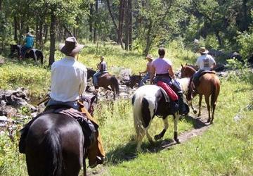 Gunsel Horse Adventures