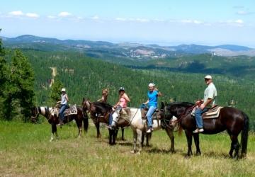 Andy&#039;s Trail Rides