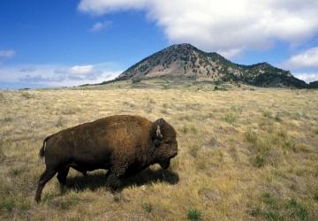 Bear Butte State Park