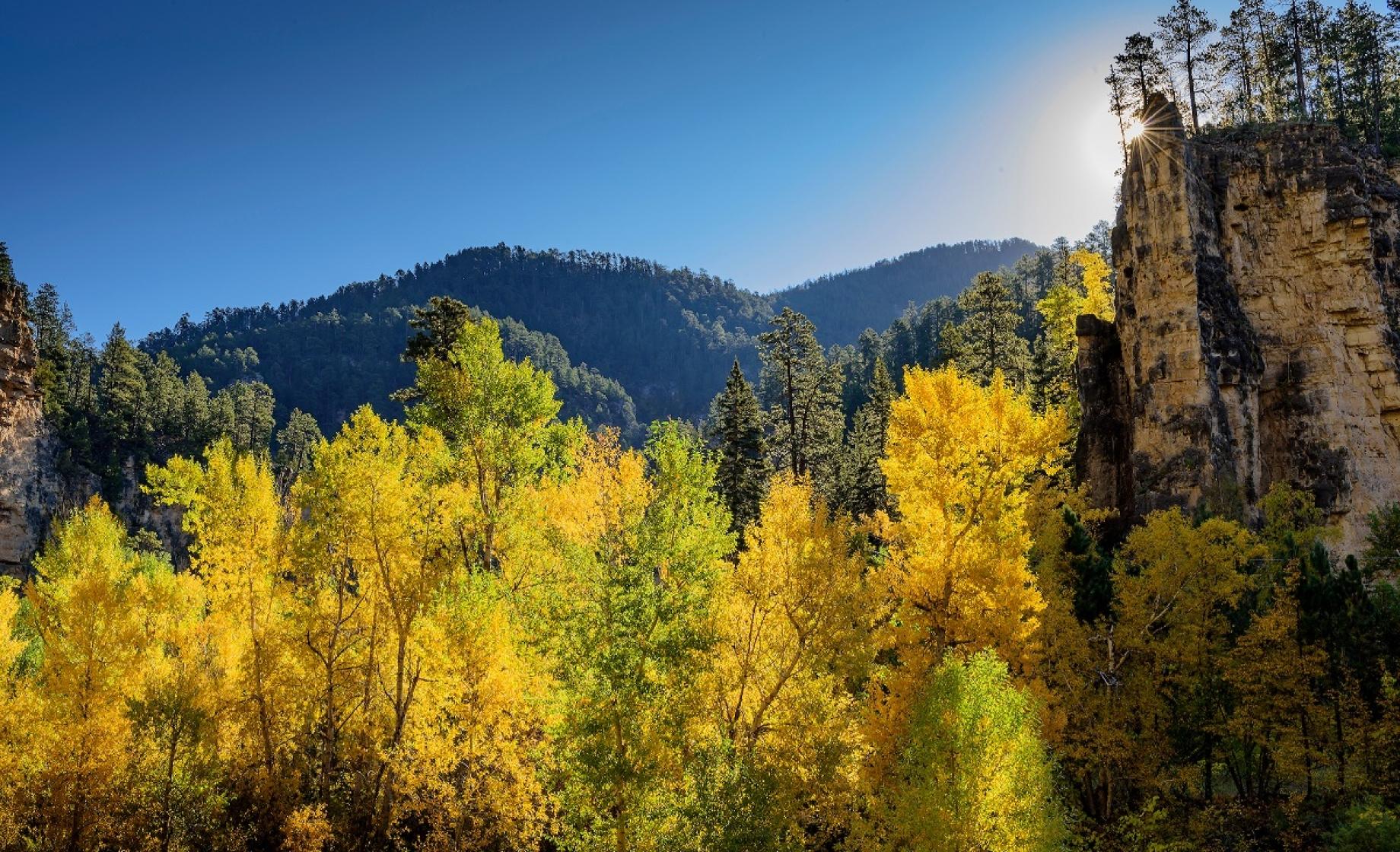 fall foliage tour south dakota