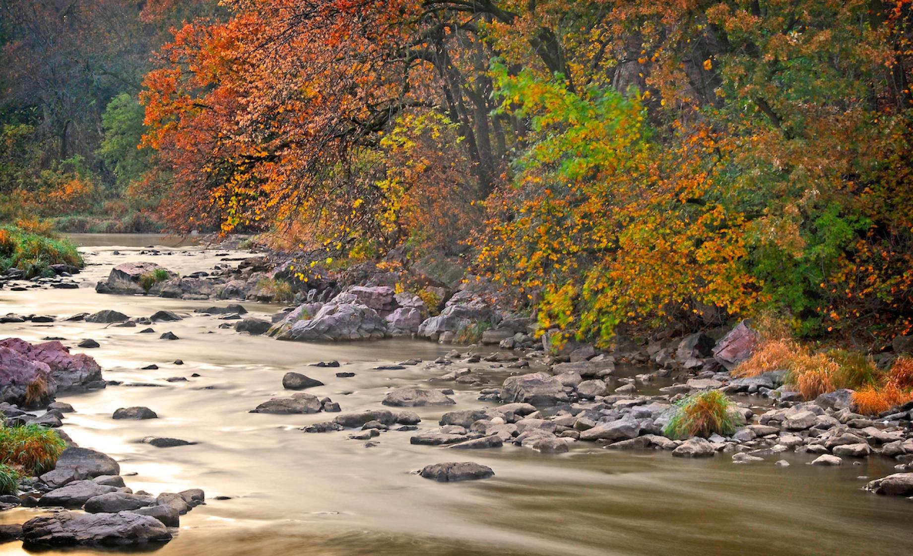 Palisades State Park