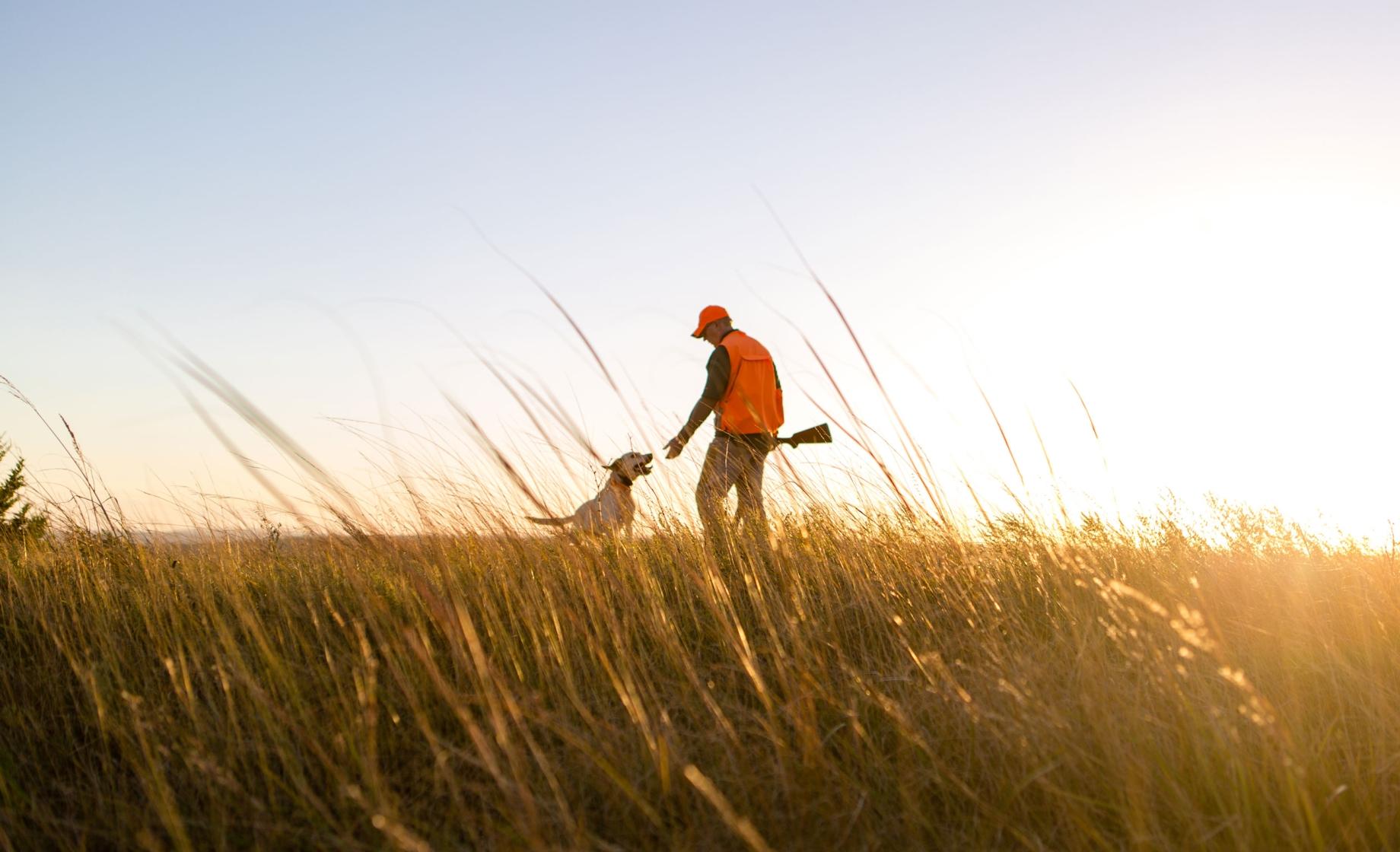 Hunter and dog South Dakota Field Sunset