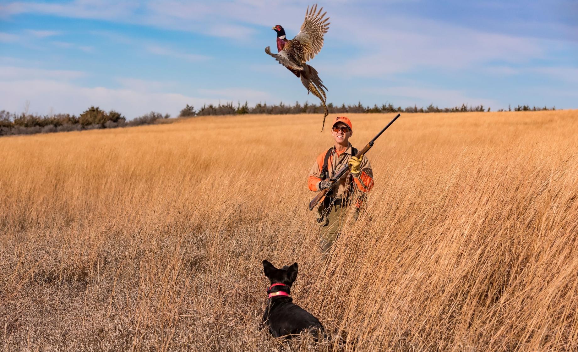 Pheasant Hunting Photo Essay Travel South Dakota