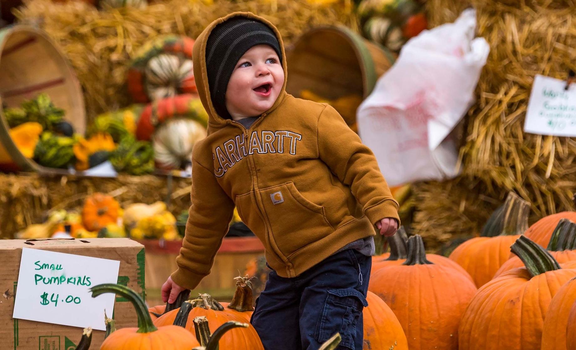 Kid in Awe from the Vast amount of Pumpkins