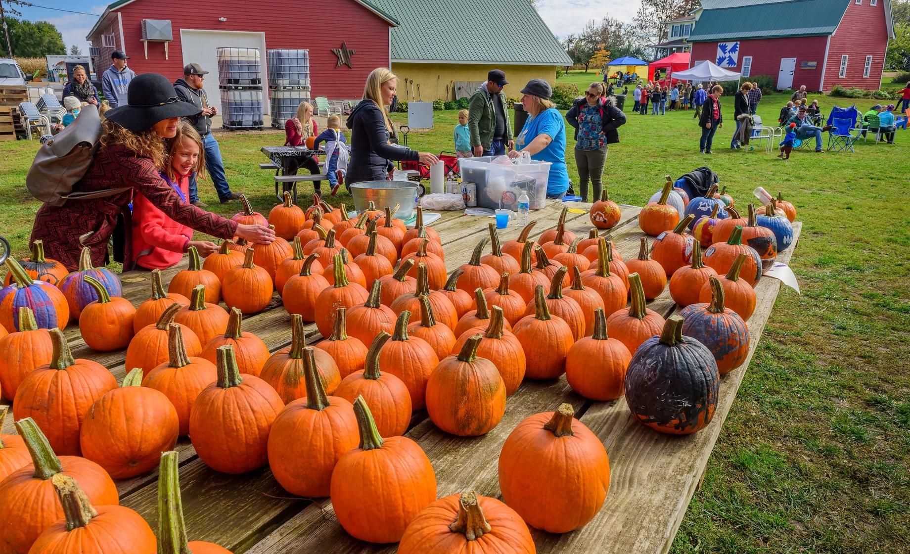 Strawbale Winery Harvest Festival