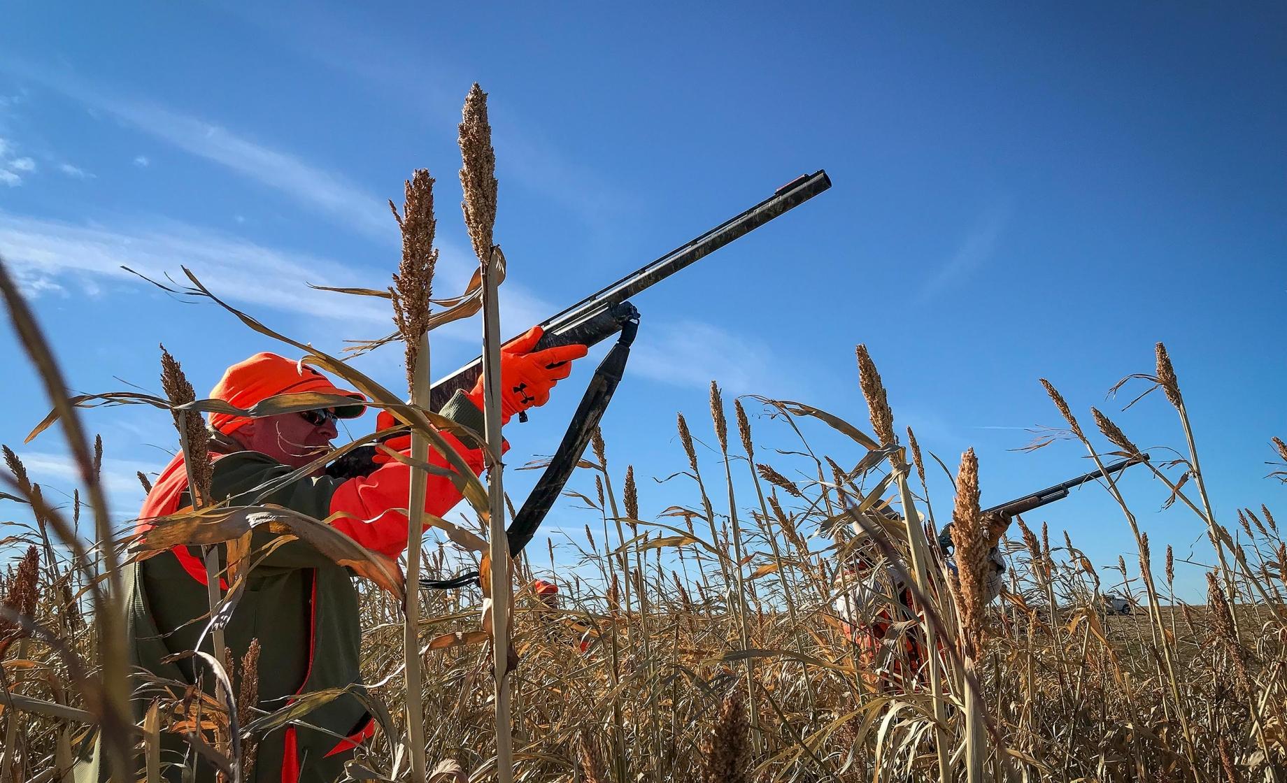 Hunter taking aim