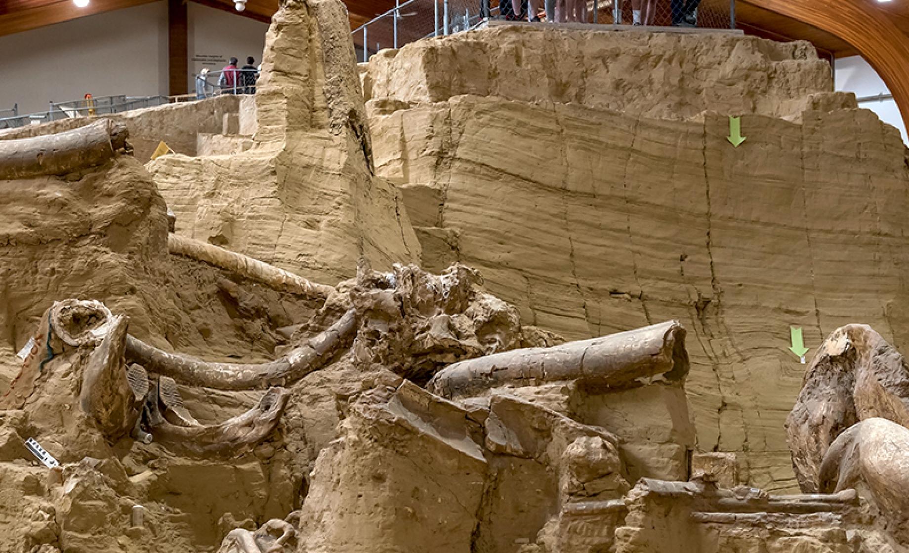 The Mammoth Site, Hot Springs