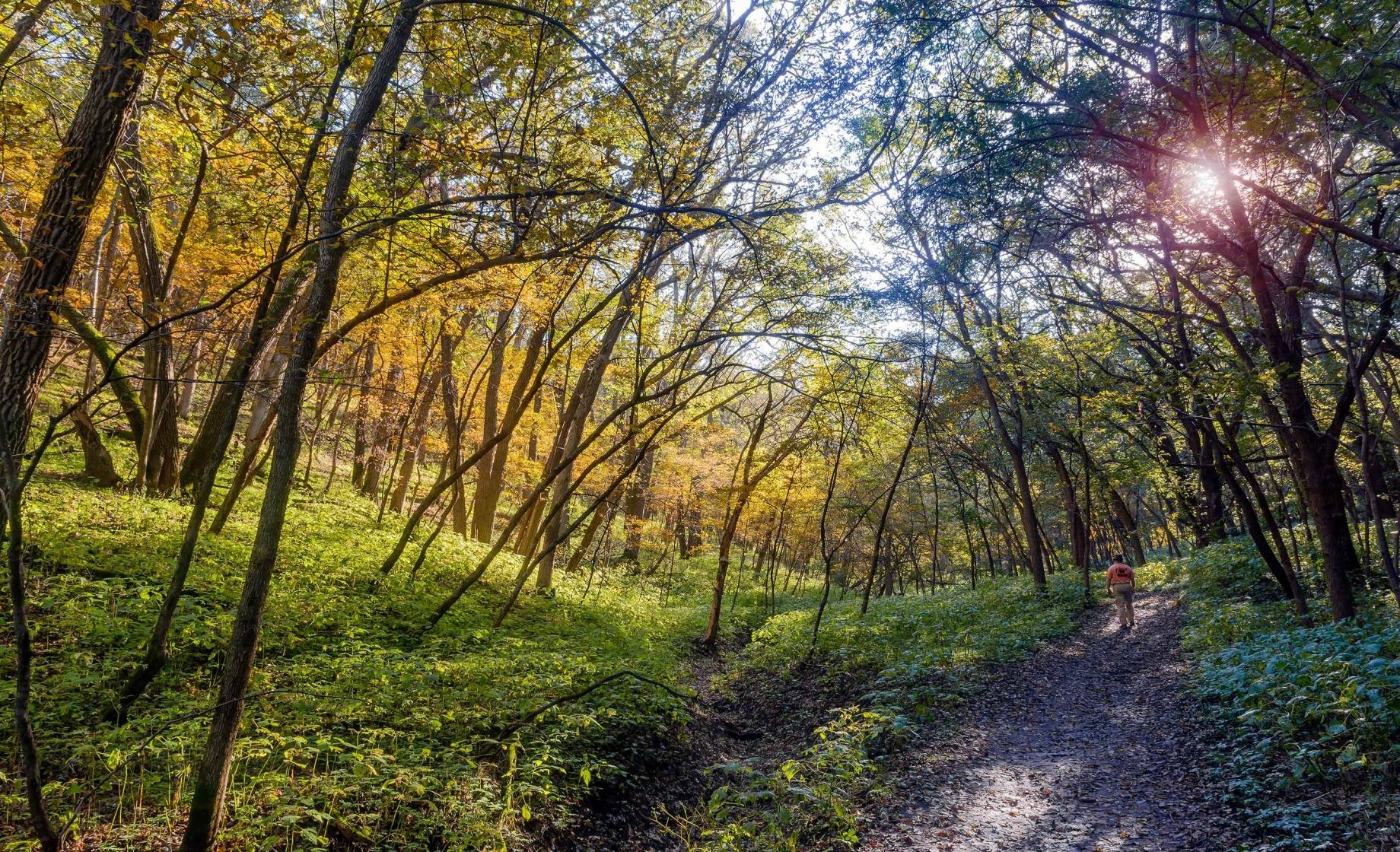 Good Earth State Park