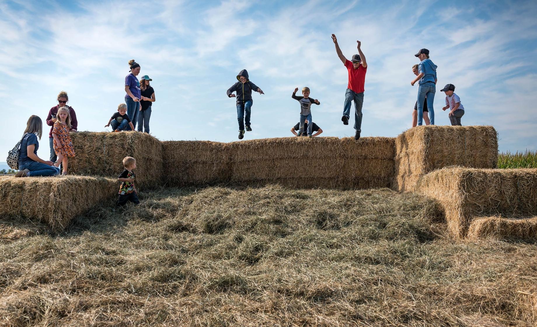 Spearfish Corn Maze & Pumpkin Patch
